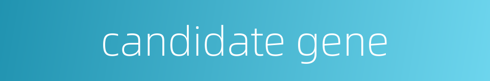 candidate gene的同义词