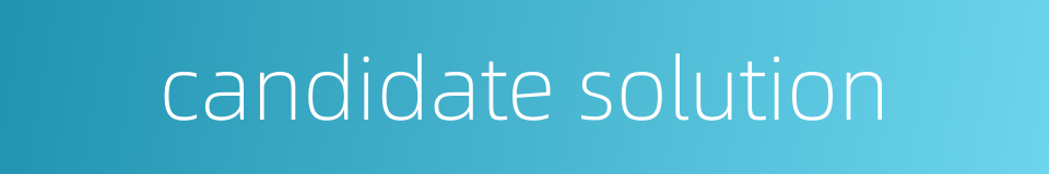 candidate solution的同义词