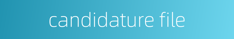 candidature file的同义词