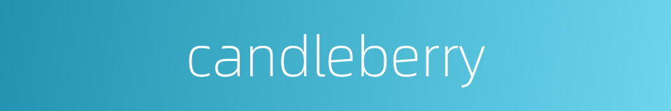 candleberry的同义词
