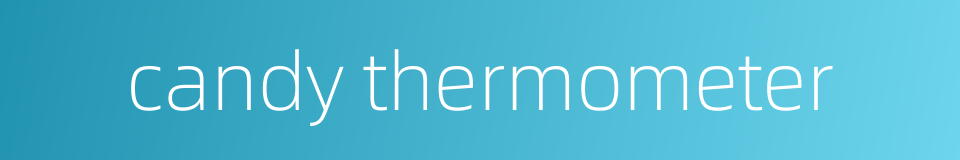 candy thermometer的同义词