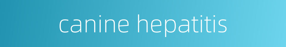 canine hepatitis的同义词