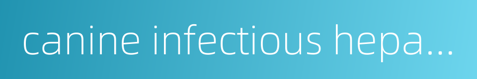 canine infectious hepatitis virus的同义词