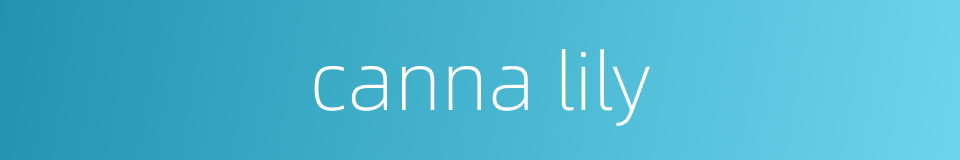 canna lily的同义词