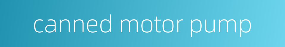 canned motor pump的同义词