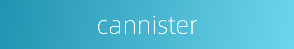 cannister的同义词