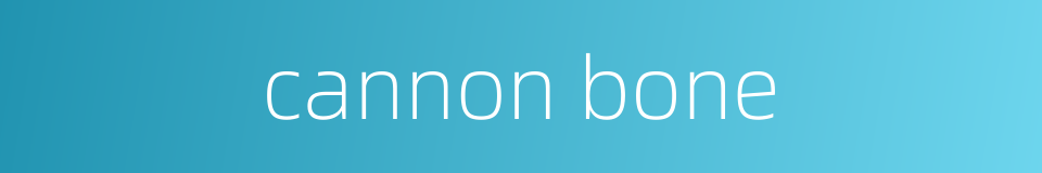 cannon bone的同义词