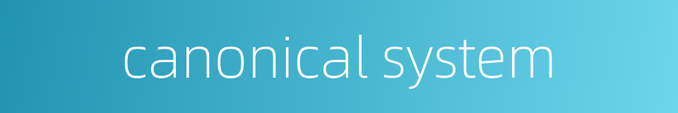 canonical system的同义词