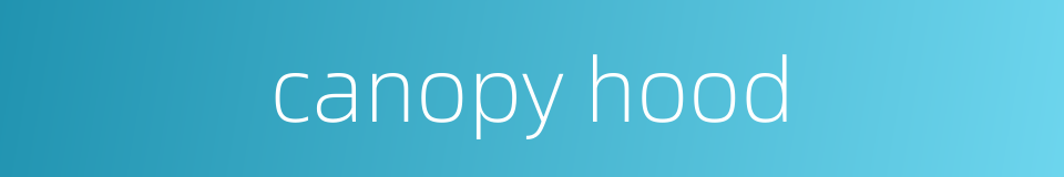 canopy hood的同义词