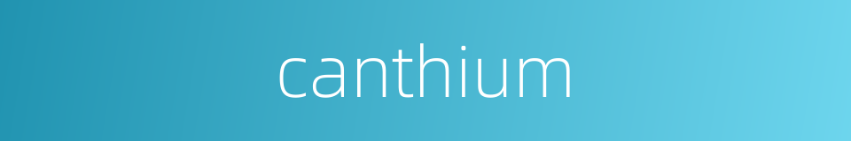 canthium的同义词