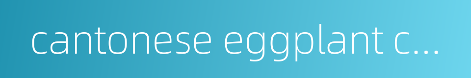 cantonese eggplant casserole的同义词