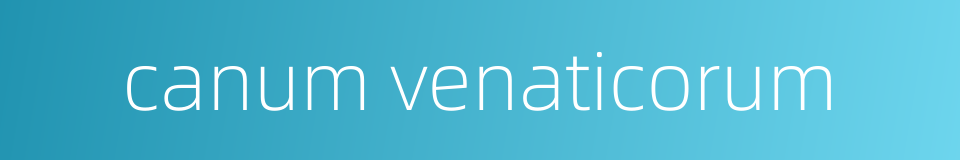 canum venaticorum的同义词