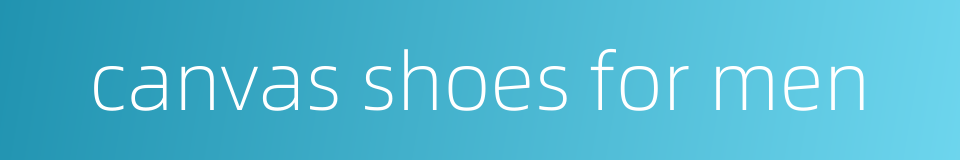 canvas shoes for men的同义词