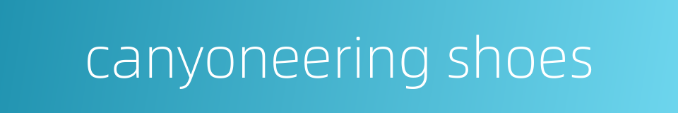 canyoneering shoes的同义词