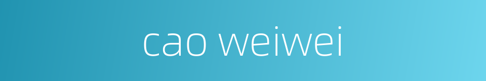 cao weiwei的同义词