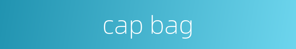 cap bag的同义词