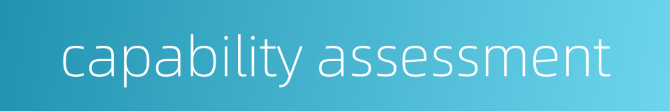 capability assessment的同义词