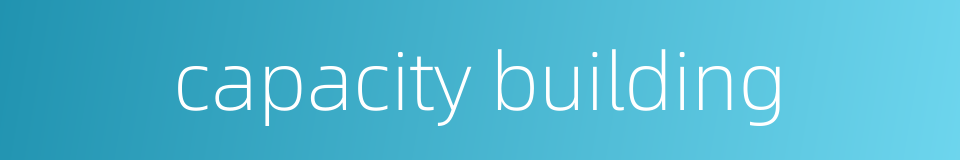 capacity building的同义词