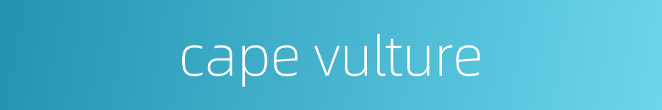 cape vulture的同义词