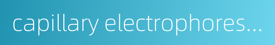 capillary electrophoresis system的同义词