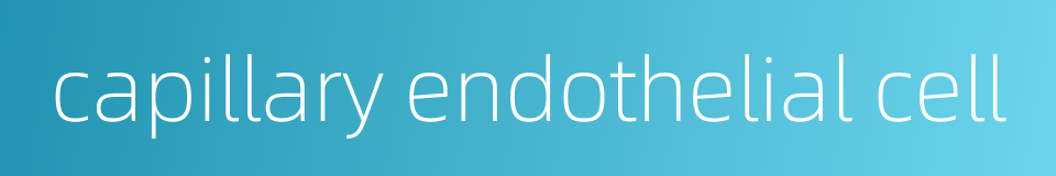 capillary endothelial cell的同义词