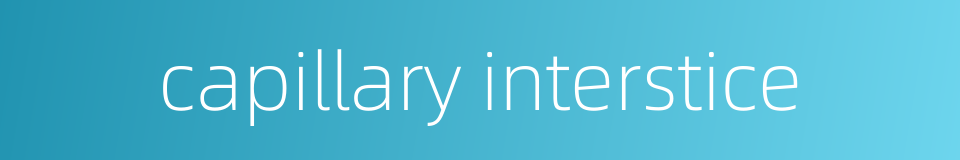 capillary interstice的同义词