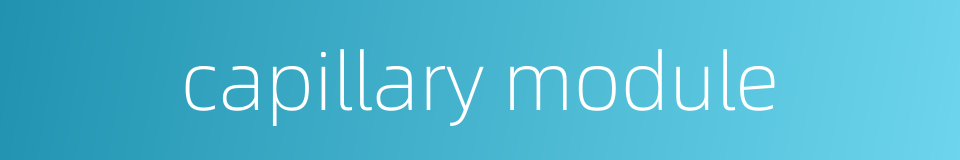 capillary module的同义词