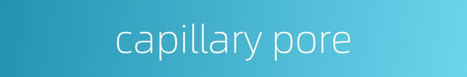 capillary pore的同义词