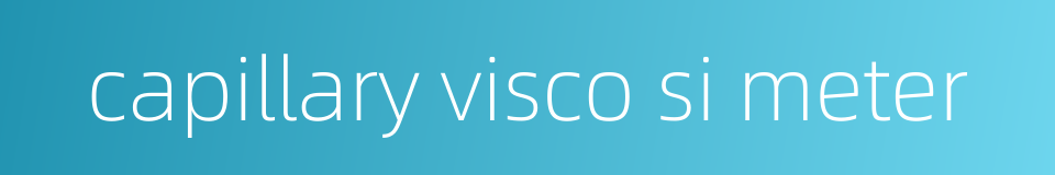 capillary visco si meter的同义词