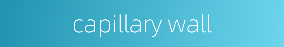 capillary wall的同义词