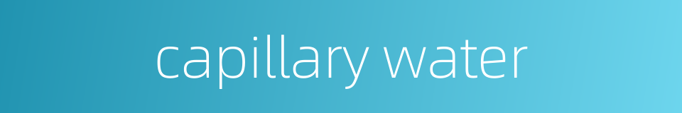 capillary water的同义词