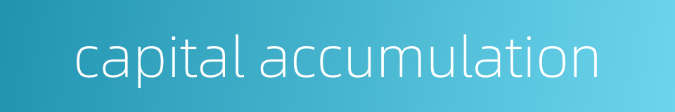 capital accumulation的同义词