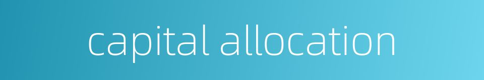 capital allocation的同义词