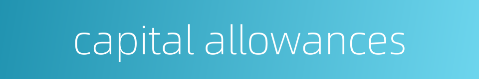capital allowances的同义词