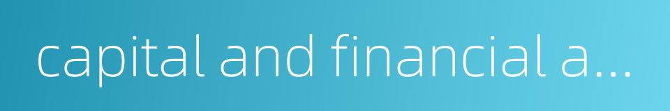 capital and financial account的同义词