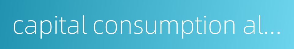 capital consumption allowances的同义词