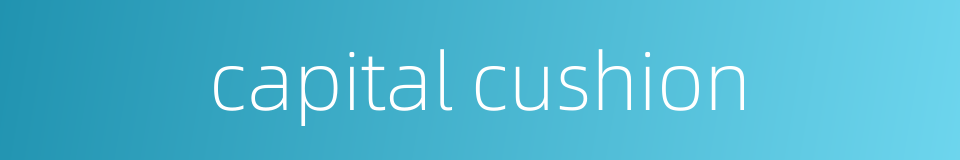 capital cushion的同义词