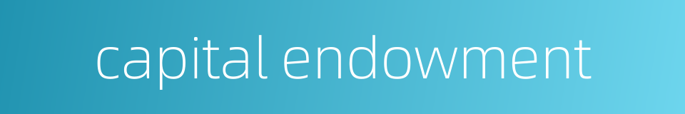 capital endowment的同义词