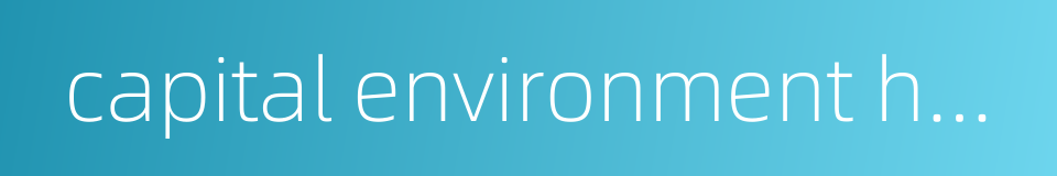 capital environment holdings limited的同义词