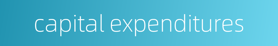 capital expenditures的同义词