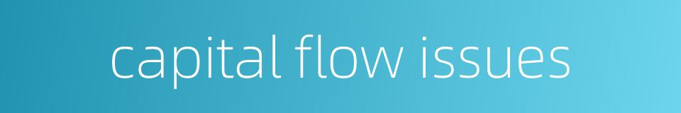 capital flow issues的同义词