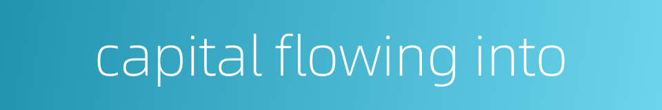 capital flowing into的同义词