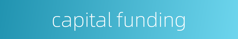 capital funding的同义词