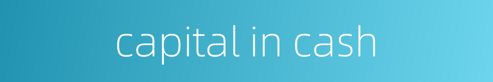 capital in cash的同义词