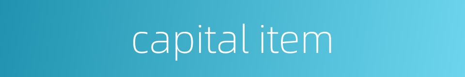 capital item的同义词