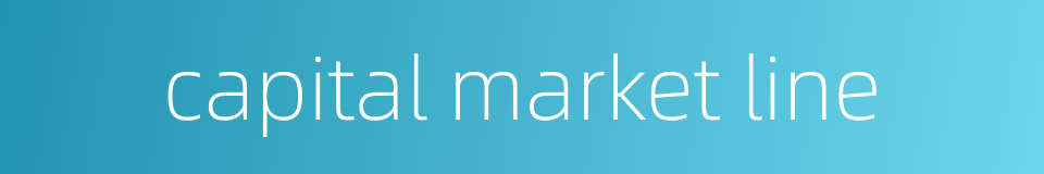 capital market line的同义词