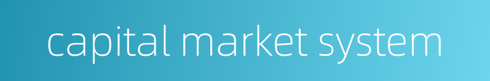 capital market system的同义词