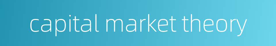 capital market theory的同义词