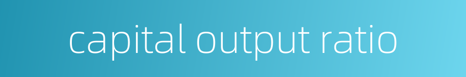 capital output ratio的同义词