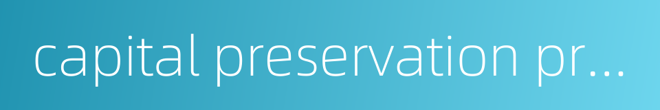 capital preservation product的同义词